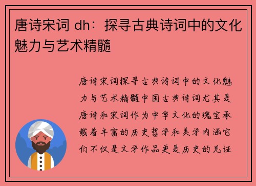 唐诗宋词 dh：探寻古典诗词中的文化魅力与艺术精髓